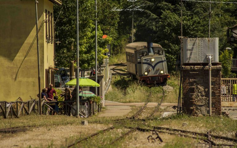 Le foto dei lettori. Trenino in arrivo!