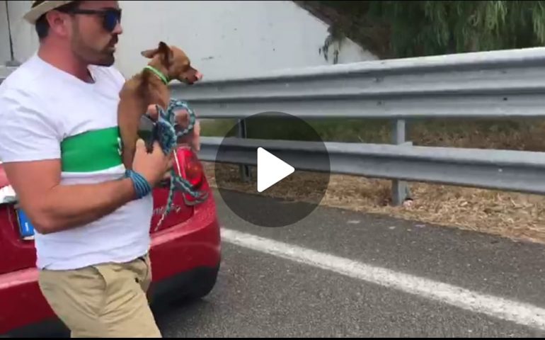 “Basta ti lascio qui, mi hai rovinato la vita”: il bellissimo VIDEO contro l’abbandono dei cani di Simone Sarritzu