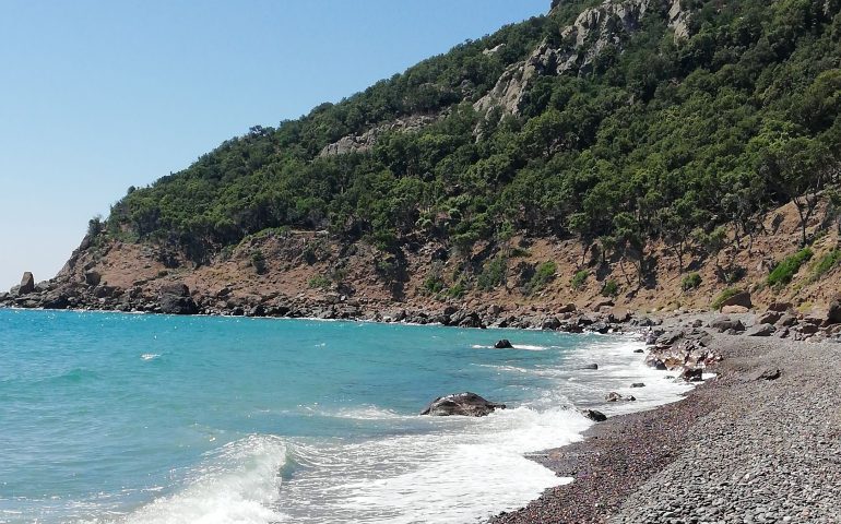 Le foto dei lettori. Coccorrocci nello scatto di Matteo Corona