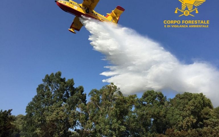 Fiamme su Torpè e Arzachena. Forte maestrale favorisce gli incendi