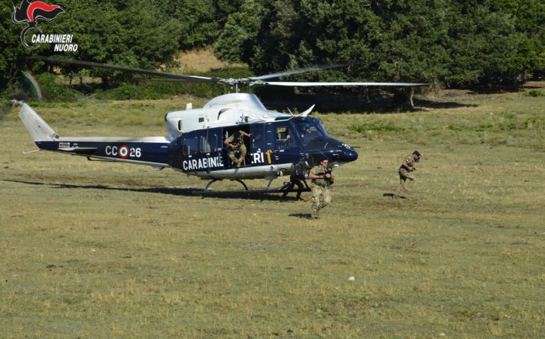 A Bitti la più grande piantagione di marijuana mai scoperta nell’Isola: 8mila piante su 5mila mq