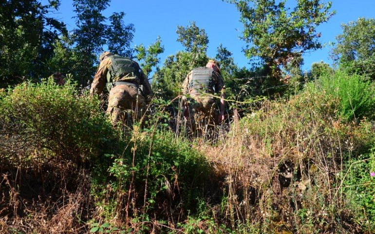 Tonara, rubano il sughero. Ricercati i ladri