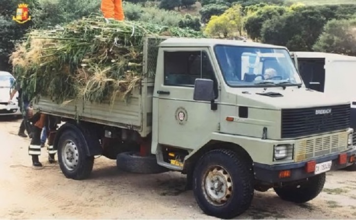 Teti, gigantesca piantagione di marijuana scoperta dalla Polizia: 2.500 piante sequestrate