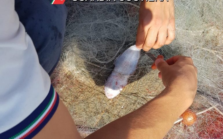 Pittulongu (Olbia), sequestrati 800 metri di rete da pesca posizionata abusivamente