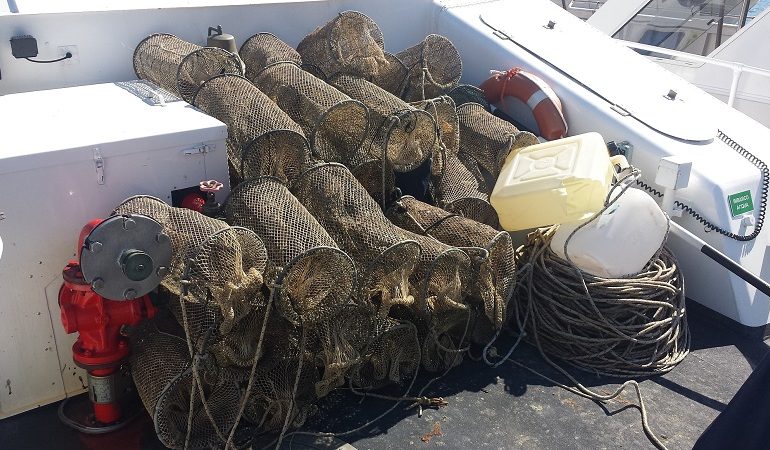 Pesca abusiva a Punta Nera di Osalla, Dorgali. Sequestrate 41 nasse prive di etichetta identificativa