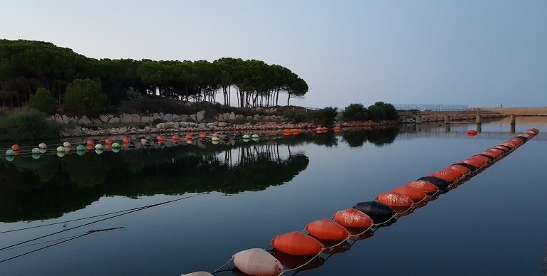 Zone umide Ogliastra, dalla Giunta un milione di euro. La laguna di Tortolì destinataria di importanti risorse