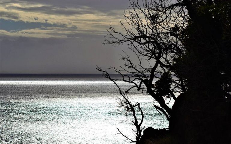 Le foto dei lettori. Buongiorno dall’Ogliastra