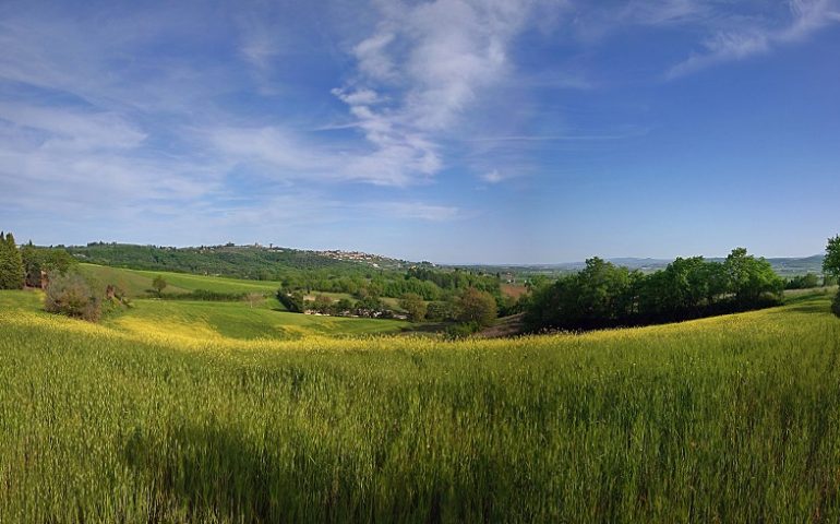 Coldiretti Sardegna dice no agli Stati Generali dell’Agricoltura: “Non crediamo in questo metodo di lavoro”