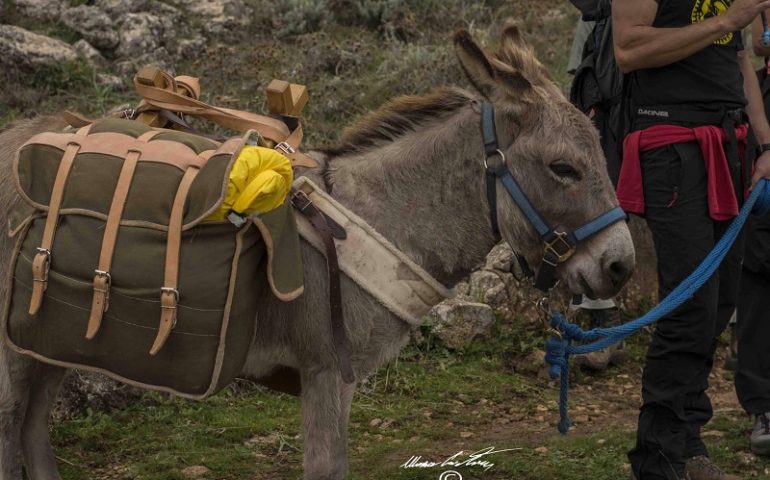 Un tour tra i tacchi d’Ogliastra in compagnia degli asinelli