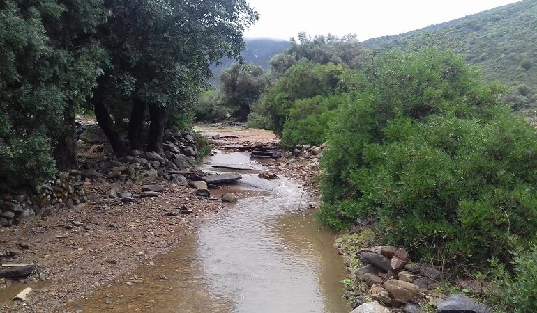 Maltempo, il triste bilancio della Coldiretti. Disperso un pastore a Muravera