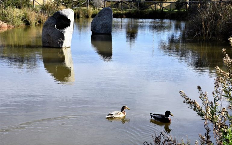 Le foto dei lettori. Scorci d’Ogliastra: il parco La Sughereta