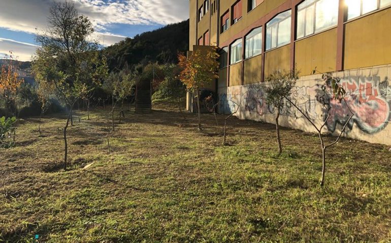 Lanusei, terminato il primo intervento dei lavori di pulizia e messa in sicurezza del progetto Cantieri Verdi