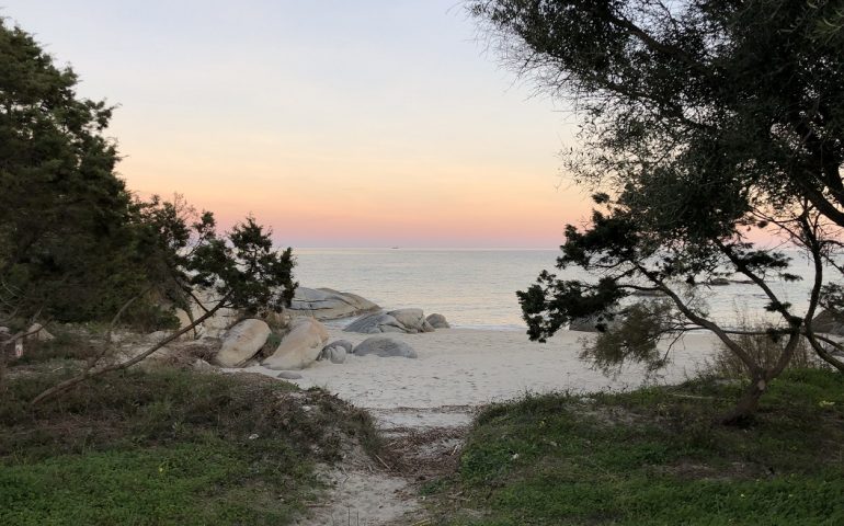 Le foto dei lettori. Foxilioni al tramonto nello scatto di Salvatore Cadone