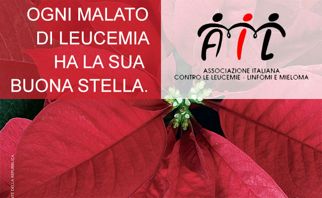 7-8-9 dicembre, le Stelle di Natale AIL compiono trent’anni. Volontari anche a Baunei e Santa Maria