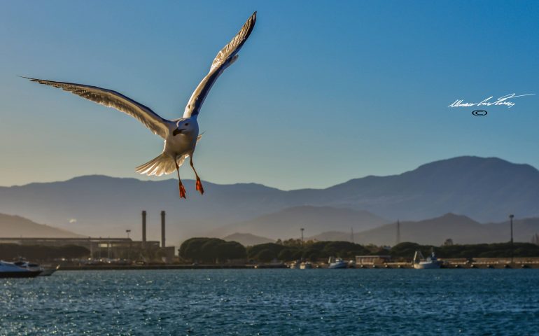 Le foto dei lettori. Planare leggeri sulle bellezze arbataxine