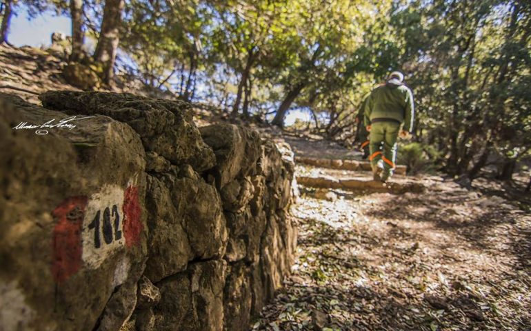 (FOTO) Ampliare la Rete dei Sentieri ogliastrini: l’Agenzia Forestas sempre al lavoro