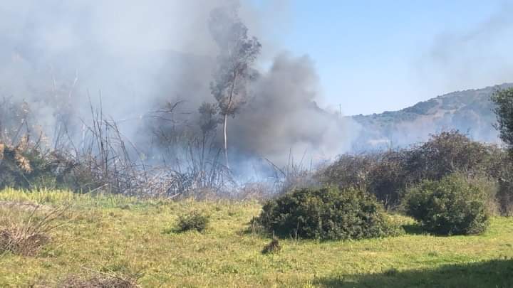 Incendio domato a Bari Sardo. Fiamme nei pressi delle abitazioni