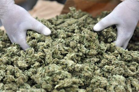 Talana, tra la vegetazione i carabinieri trovano 2 chili di marijuana
