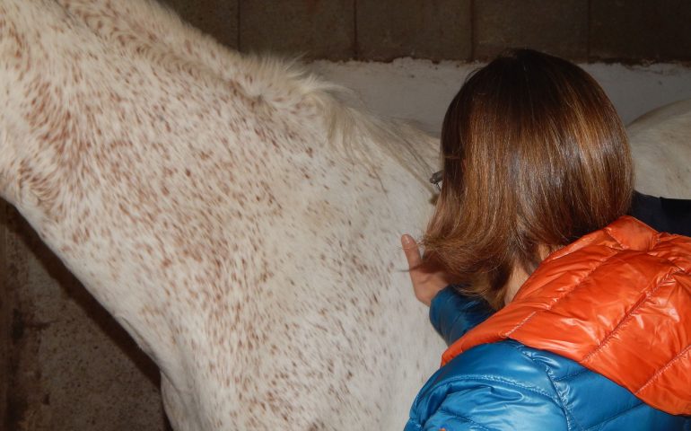 Tortolì, oggi al Maneggio Pastrengo la quarta edizione di “Equiblu”. Ospite d’onore, Enrico Querci
