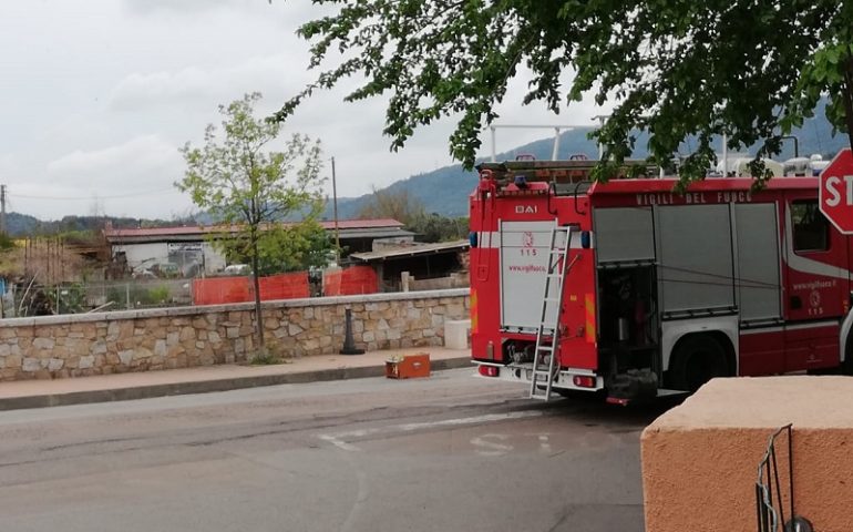 Tortolì, sciame d’api in Via delle Lavandaie. Intervengono i Vigili del Fuoco