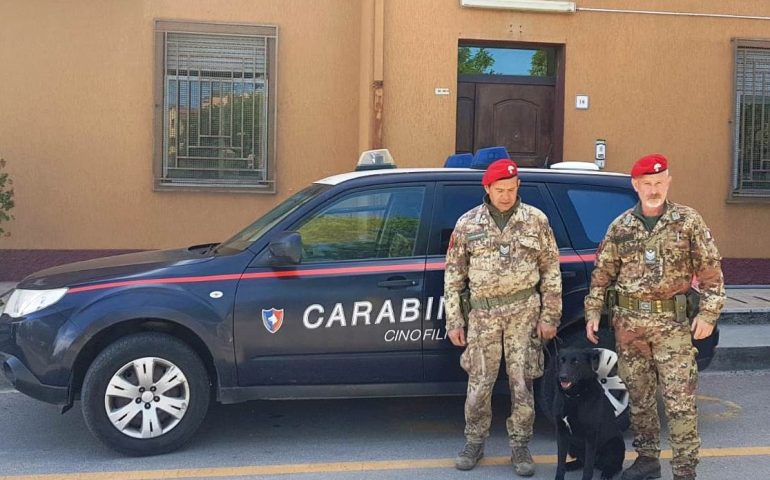 Tortolì, operazione “Scuole sicure”: controlli antidroga da parte dei Carabinieri