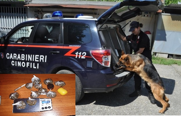Tortolì e Tertenia: nove persone denunciate per spaccio e detenzione di munizioni abusive