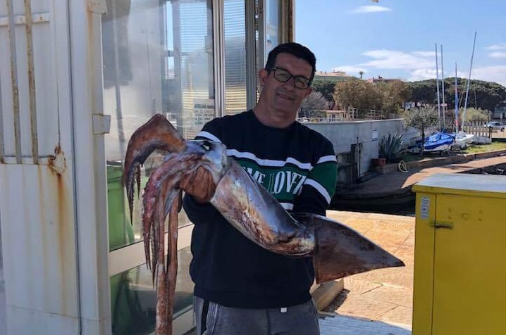 Arbatax, totano di oltre 7 kg pescato in porto