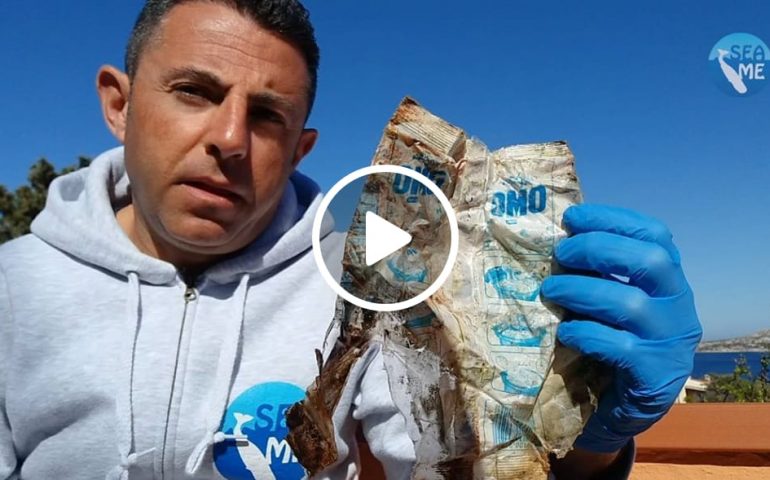 (VIDEO) Il biologo mostra i rifiuti trovati nel capodoglio spiaggiato: “Piatti di plastica, sacchetti e pvc”