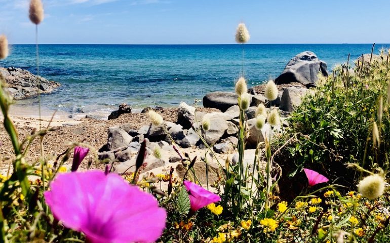 Le foto dei lettori. La primavera colora il Lido di Orrì: buon primo maggio!