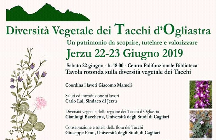 Jerzu, tavola rotonda sulla flora dei Tacchi. Presente anche l’assessore regionale all’ambiente