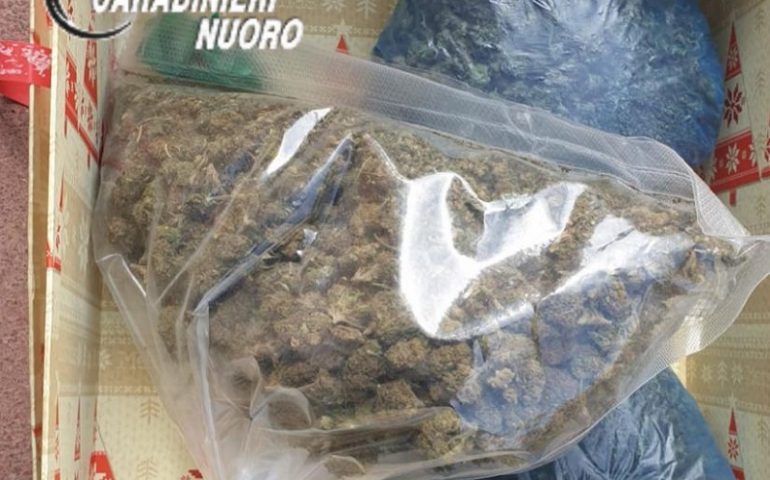Droga e strumenti per il suo confezionamento in casa, denunciato un 31enne