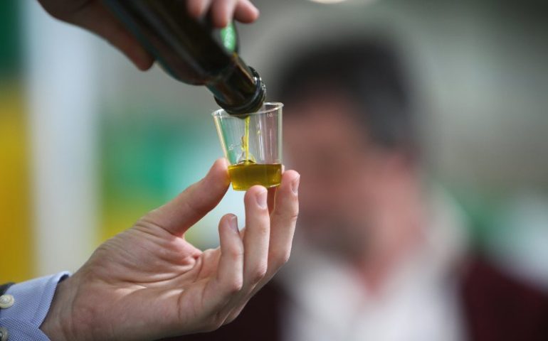 Imparare a degustare l’olio d’oliva, arriva il mini corso a Bari Sardo