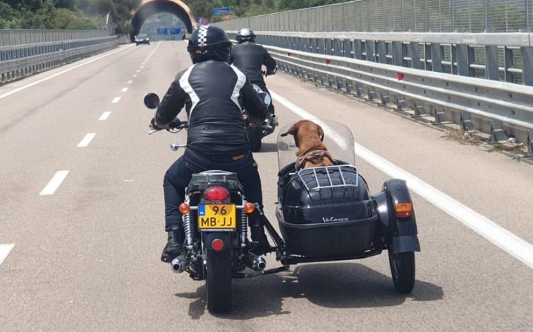 E io queste cose posso solo immaginarle, perché i miei umani mi portano sempre con loro. Eccomi qui, nel nostro sidecar nella bellissima Sardegna