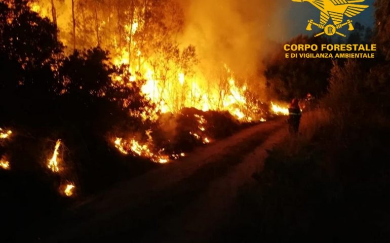 Sardegna in fiamme, il Servizio regionale antincendio del Corpo forestale al lavoro in Ogliastra, Carbonia, Ittiri, Santolussurgiu e Muros