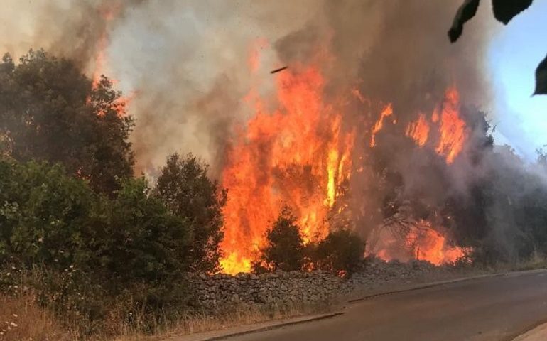 Provincia di Nuoro, bruciano le campagne: in fiamme un oliveto a Orosei