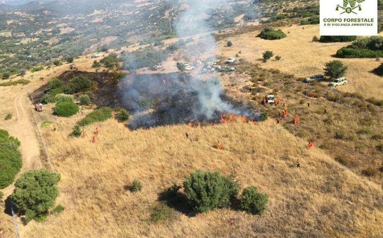 L’Ogliastra brucia: 7 gli incendi divampati ieri, fiamme anche a Triei e Villagrande