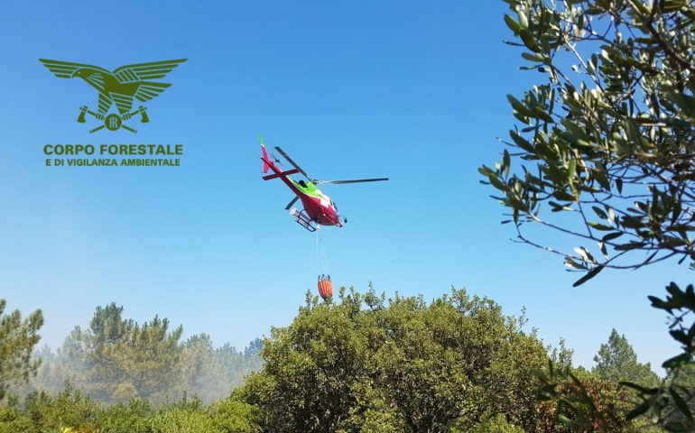 Fiamme a Talana. Intervenuto l’elicottero del Corpo Forestale