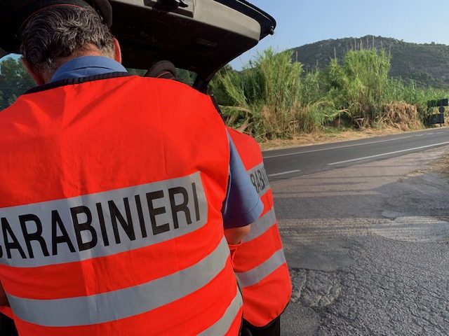 Isili, 60enne coltiva cannabis nel cortile di casa: denunciato dai carabinieri