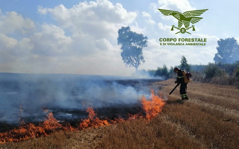 Provincia di Nuoro e non solo: bruciano le campagne. Due elicotteri in volo per spegnere le fiamme