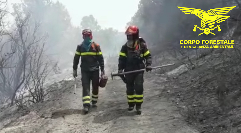 Anche ieri giornata di fiamme, ben 18 i roghi nell’Isola. Il drammatico bilancio delle fiamme a Siniscola