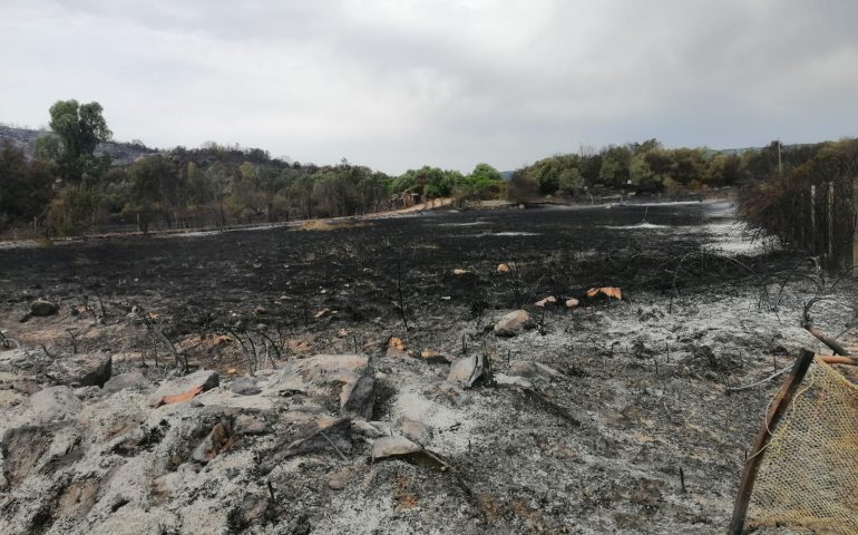 (GALLERY) Tortolì, le immagini di ciò che resta. Ettari distrutti dalle fiamme, rabbia e sconforto della popolazione