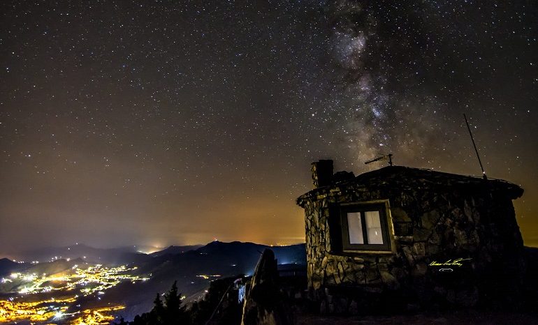 Le foto dei lettori. Una vedetta da favola nel bellissimo scatto di Cristian Mascia