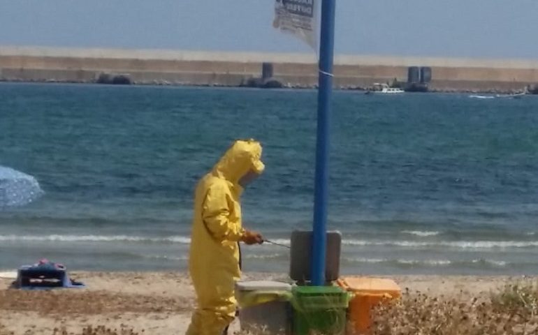 Tortolì, spiaggia La Capannina: Vigili del fuoco intervengono per rimozione vespe e calabroni