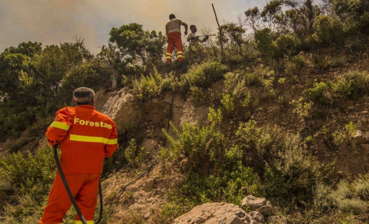 I dipendenti Forestas delusi dalla Giunta preparano un nuovo sciopero generale