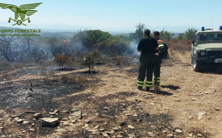 Brucia la Sardegna, ieri cinque incendi