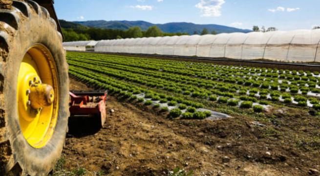 In Sardegna la vita media di un impresa è 12 anni, le più longeve quelle agricole, quelle turistiche chiudono prima