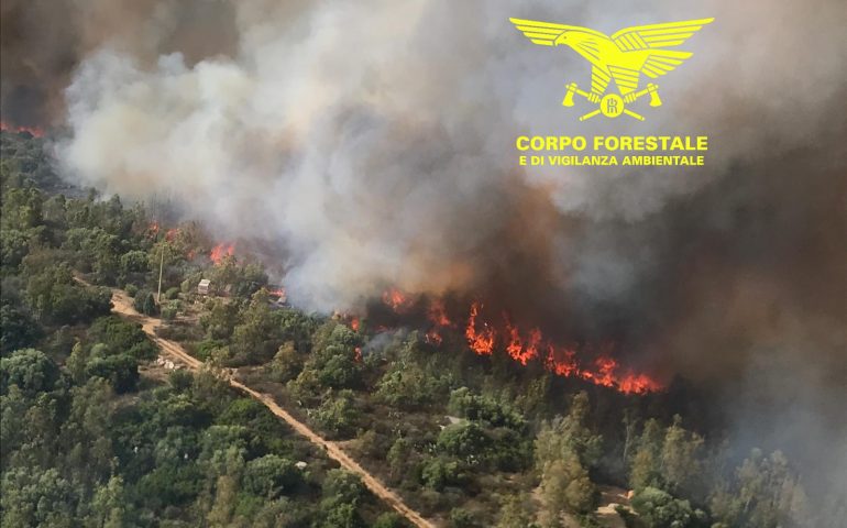 Vasto incendio a Gairo: in fiamme 1000 mq di bosco