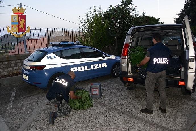 Nuoro, la Polizia sequestra due piantagioni di marijuana a Girasole e San Teodoro. Otto persone arrestate