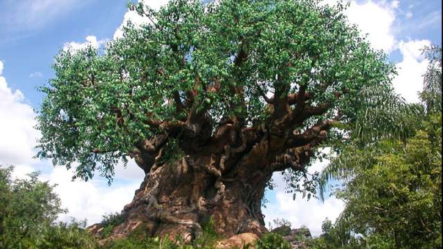 Sono 400 i monumenti da fotografare in Sardegna, per il concorso fotografico di Wikipedia