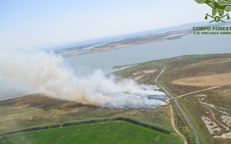 Incendi e bracconaggio in provincia di Cagliari: importante operazione del Corpo forestale. Tre arresti